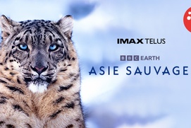 Image du film Wild Asia Image du film Wild Asia