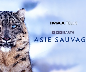 Image du film Wild Asia