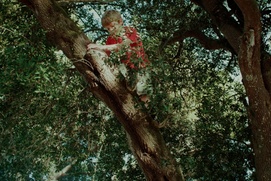 Image du film École dans la forêt, une révolution verte ?