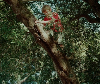 Image du film École dans la forêt, une révolution verte ?
