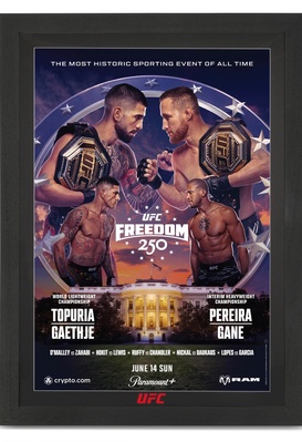 UFC Freedom 250