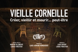 Affiche du film Vieille corneille