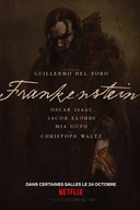 Affiche du film Frankenstein