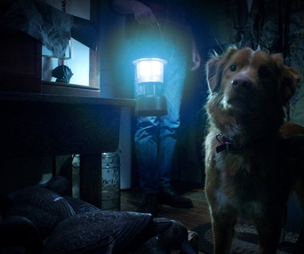 Image du film Good Boy