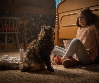 Une scène du film Pet Sematary