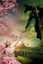Affiche du film Wicked