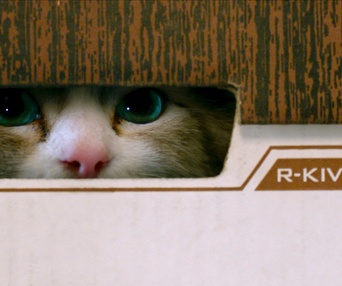 Une scène du film Nine Lives