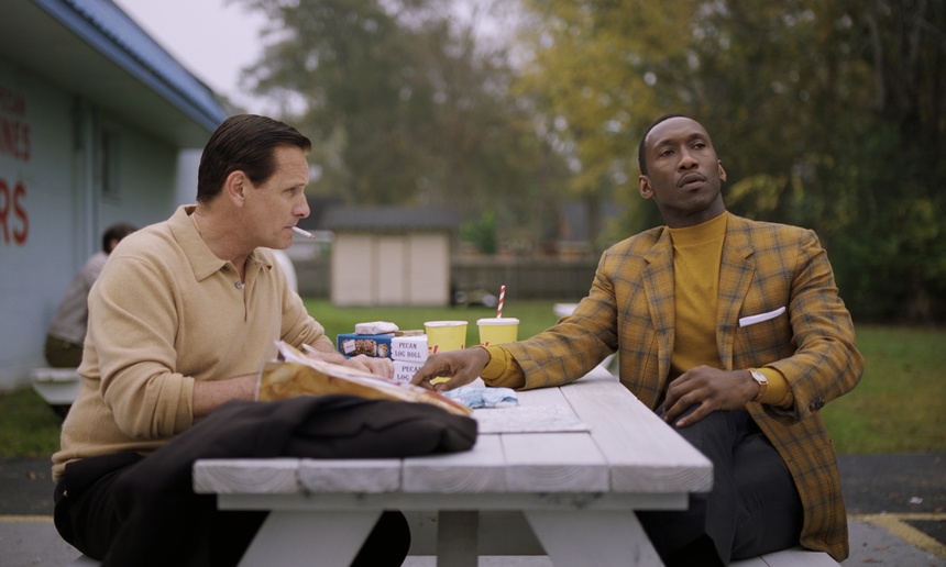 Sorties à la maison : Green Book