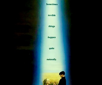 Affiche du film The Reflecting Skin