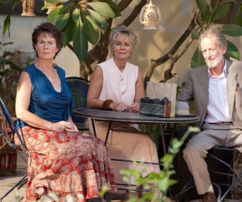 Une scène du film The Best Exotic Marigold Hotel