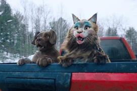 Image du film Chien et chat
