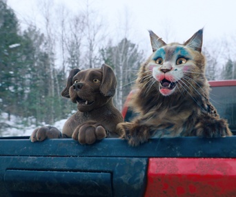 Image du film Chien et chat
