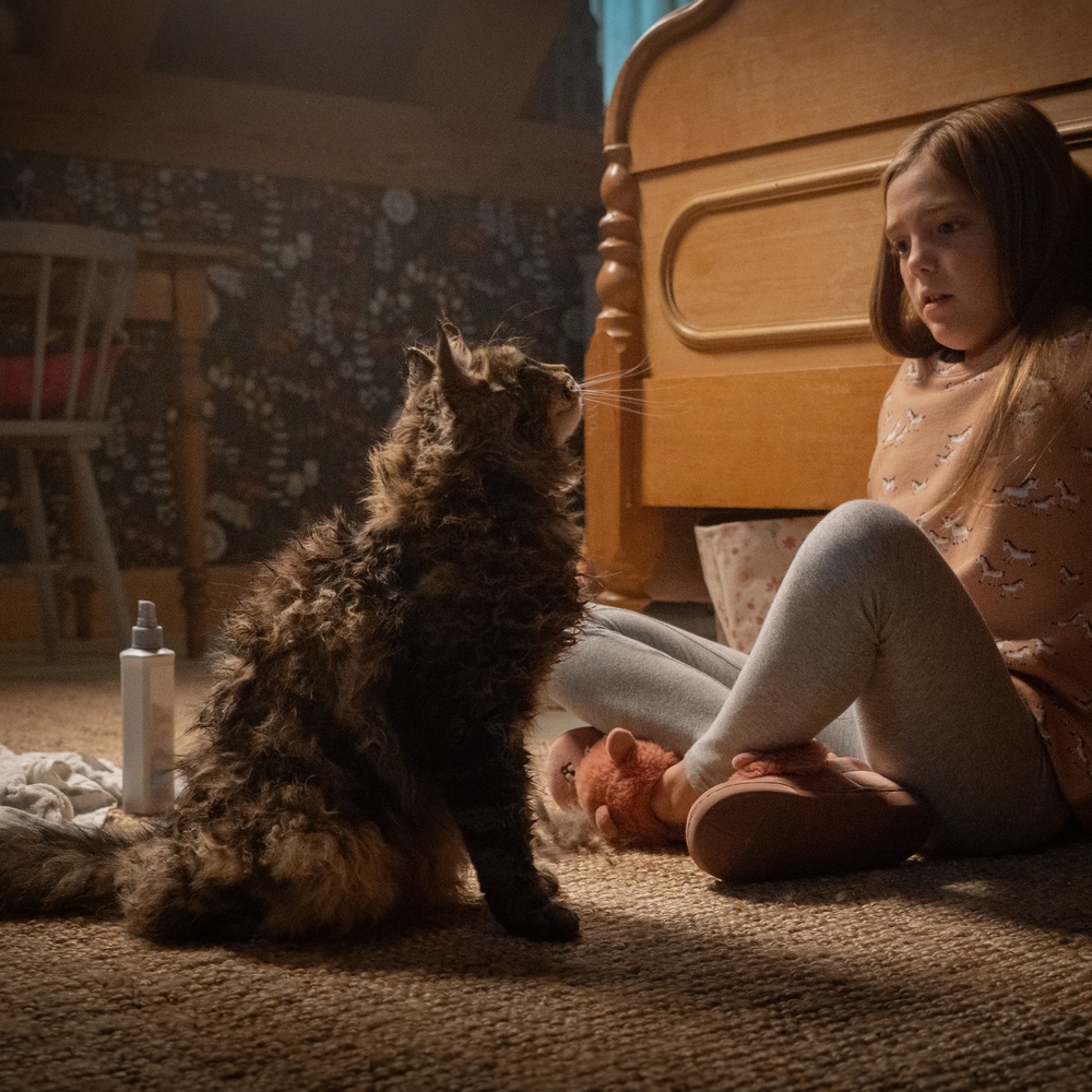 Une scène du film Pet Sematary