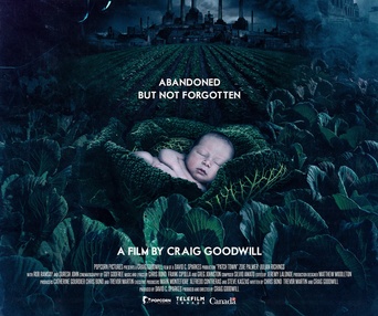 Affiche du film Patch Town