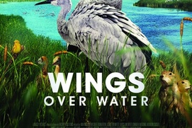 Affiche du film Wings Over Water