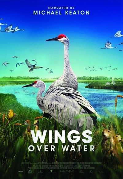 Affiche du film Wings Over Water