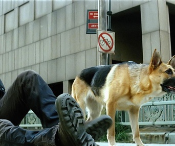 Scène du film I Am Legend