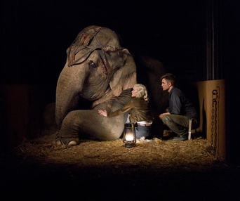 Une scène du film Water for Elephants