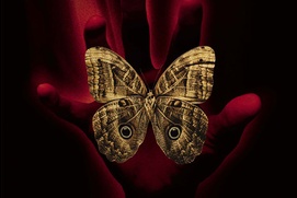 Affiche du film A Sound of Thunder