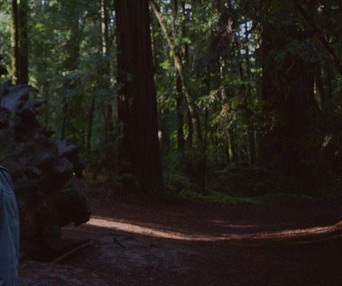 Une scène du film Nomadland