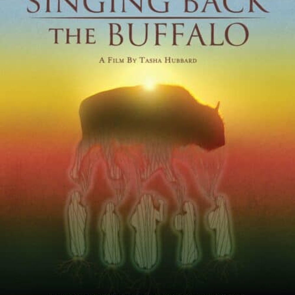 Affiche du film Singing Back the Buffalo