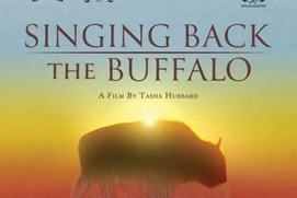 Affiche du film Singing Back the Buffalo