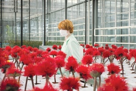 Une scène du film Little Joe