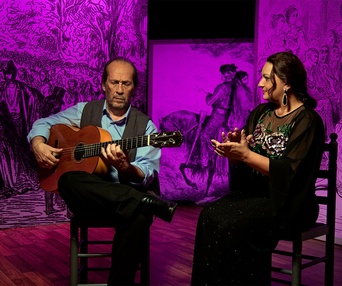 Une scène du film Flamenco Flamenco