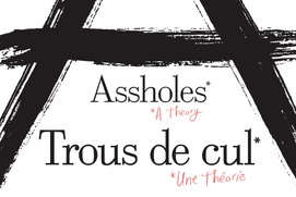 Affiche du film Trous de cul, une théorie