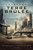 Affiche du film L'épreuve : la terre brûlée