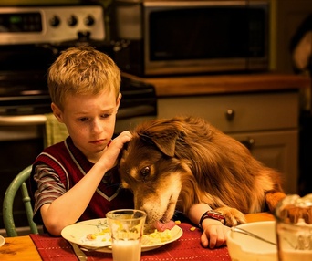 Une scène du film L'extravagant voyage du jeune et prodigieux T.S. Spivet