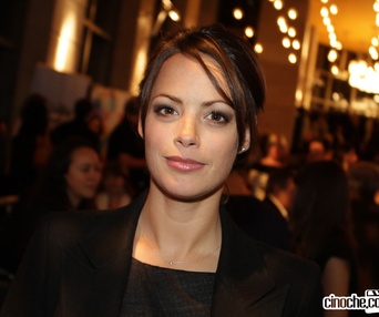 Sur le tapis rouge de The Artist