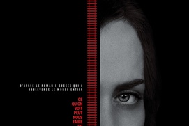Affiche du film La fille du train