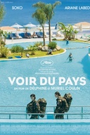 Affiche du film Voir du pays