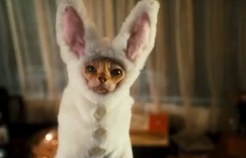 Image du film Cats and Dogs: The Revenge of Kitty Galore