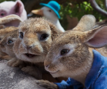 Une scène du film Peter Rabbit 2: The Runaway