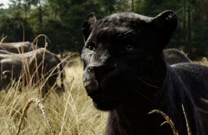 Bande-annonce en français