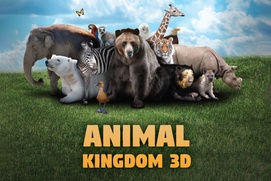 Affiche du film Animal Kingdom A Tale of Six Families Affiche du film Animal Kingdom A Tale of Six Families