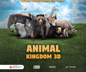 Affiche du film  Animal Kingdom A Tale of Six Families