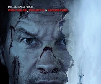 Affiche de film Vol à haut risque