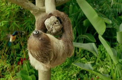 Bande-annonce 2 en anglais