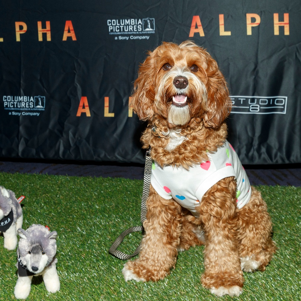 Première du film Alpha à Los Angeles