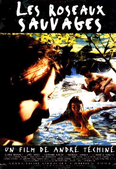 Affiche du film  Les roseaux sauvages