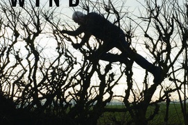 Affiche du film Leaning Into the Wind: Andy Goldsworthy