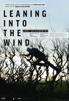 Leaning Into The Wind