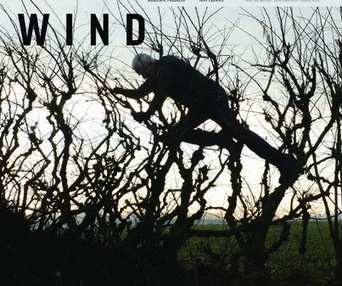 Affiche du film Leaning Into the Wind: Andy Goldsworthy