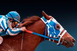Affiche du film Secretariat
