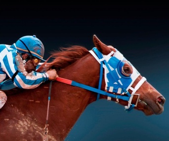 Affiche du film Secretariat