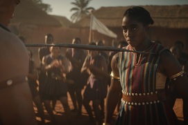 Image du film The Woman King Image du film The Woman King