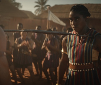 Image du film The Woman King